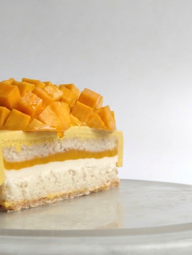 Mango Coconut Entremet